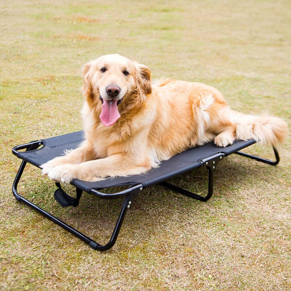 Elevated Protable Cooling Foldable Folding Raised Pet Dogs Cats Cot With Steel Frame Play And Rest Bed